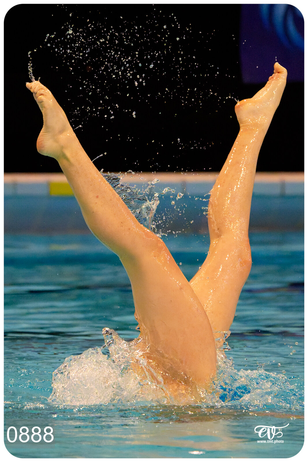 CHAMPIONNAT DE FRANCE DE NATATiON ARTISTIQUE N1 & ELITE 2026